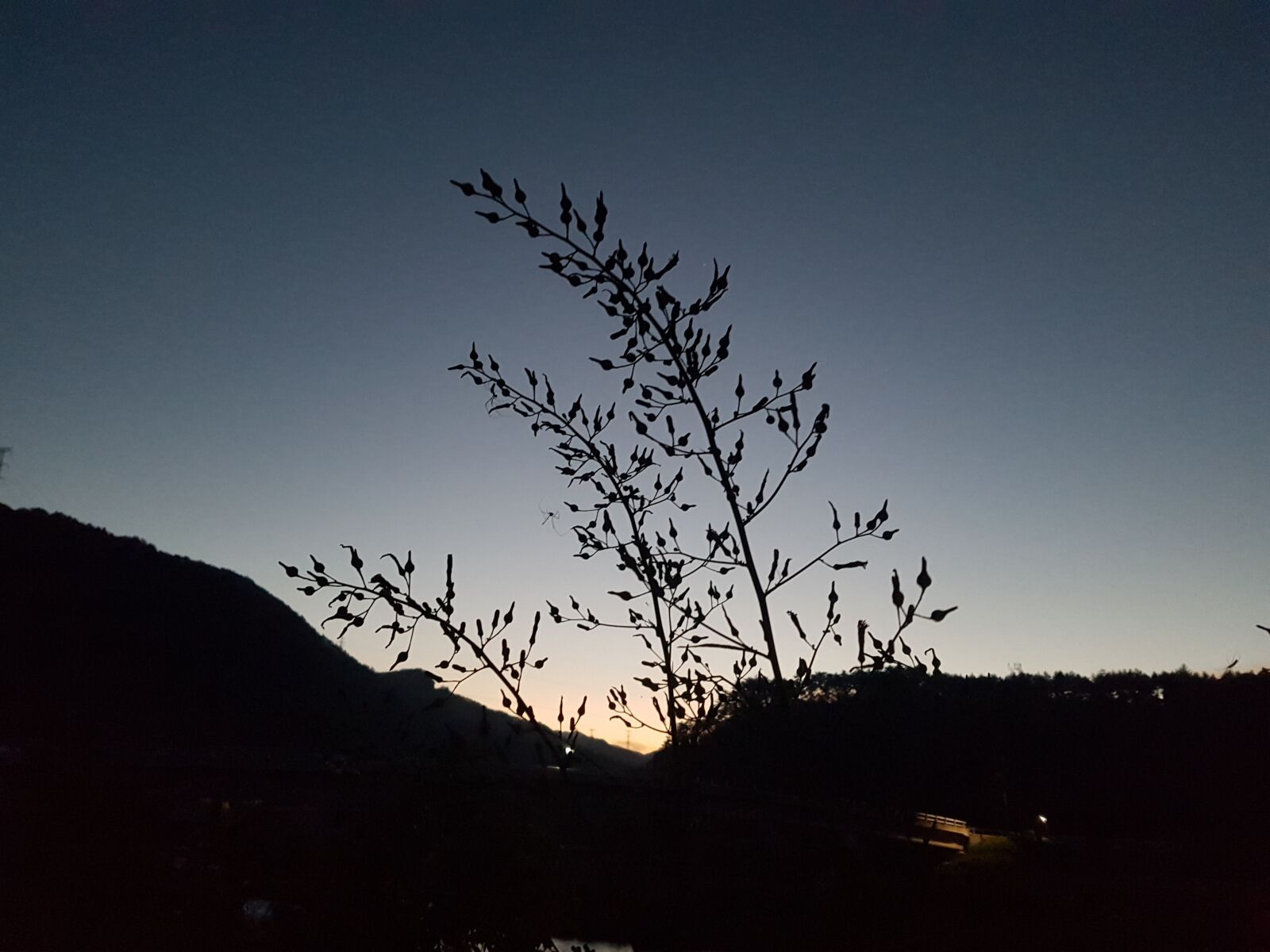 Samsung Galaxy S7 sample photo. Sunset, night, nature photography