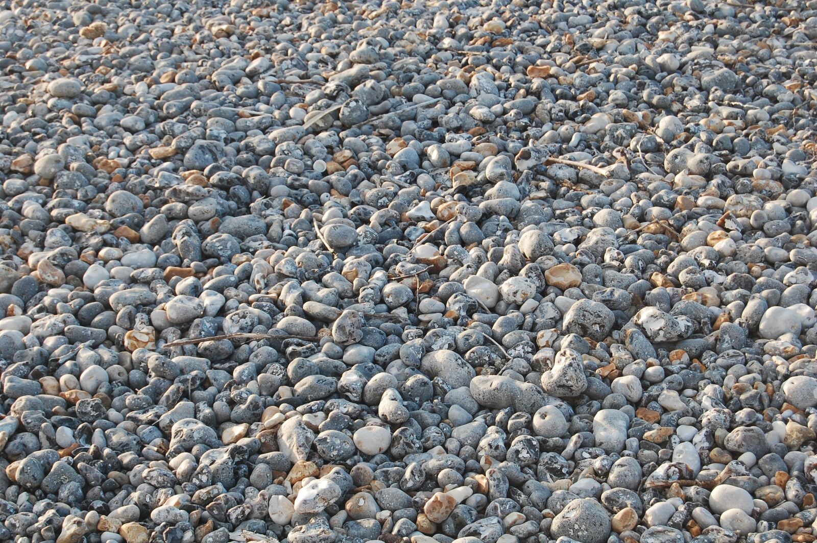 Nikon D40 sample photo. Stones, nature, pebble photography