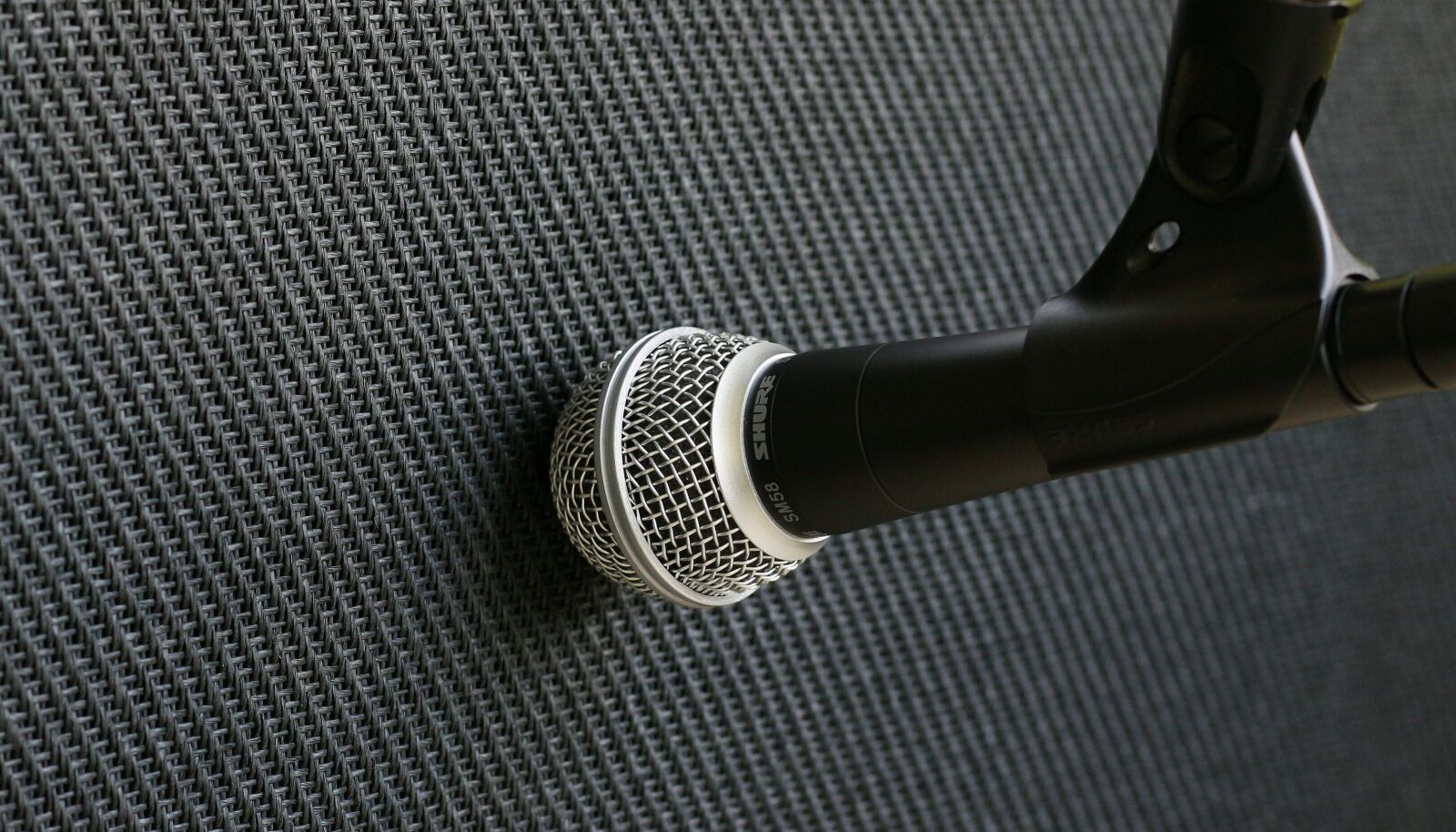 Canon EOS 700D (EOS Rebel T5i / EOS Kiss X7i) + Canon EF 50mm F1.8 STM sample photo. Microphone, amplifier, music photography