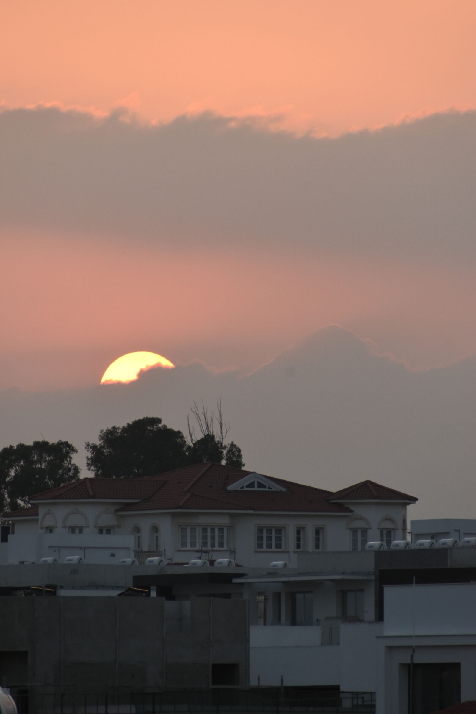 Nikon D5600 sample photo