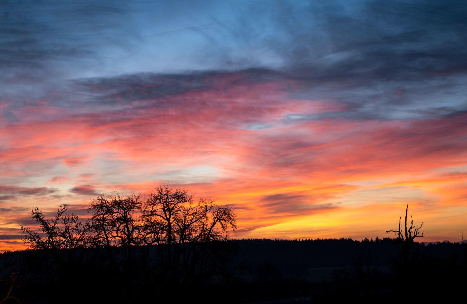 Pentax K-50 sample photo. Skies, silhouette, sunrise photography