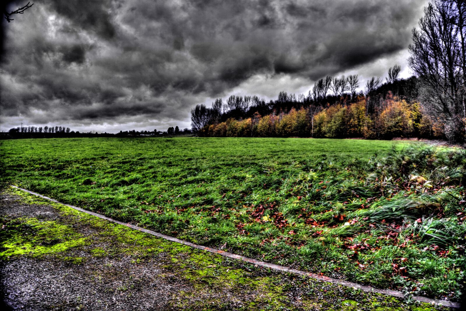 Sony a6000 sample photo. Boscheln, baesweiler, park photography