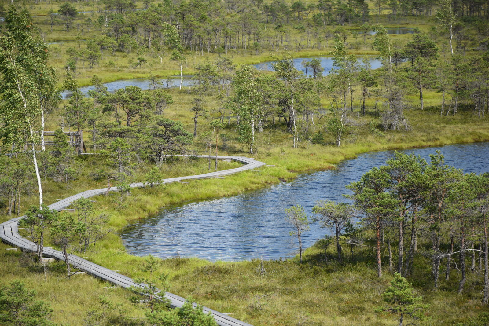 Nikon D3300 sample photo. Forest, lake, nature, summer photography