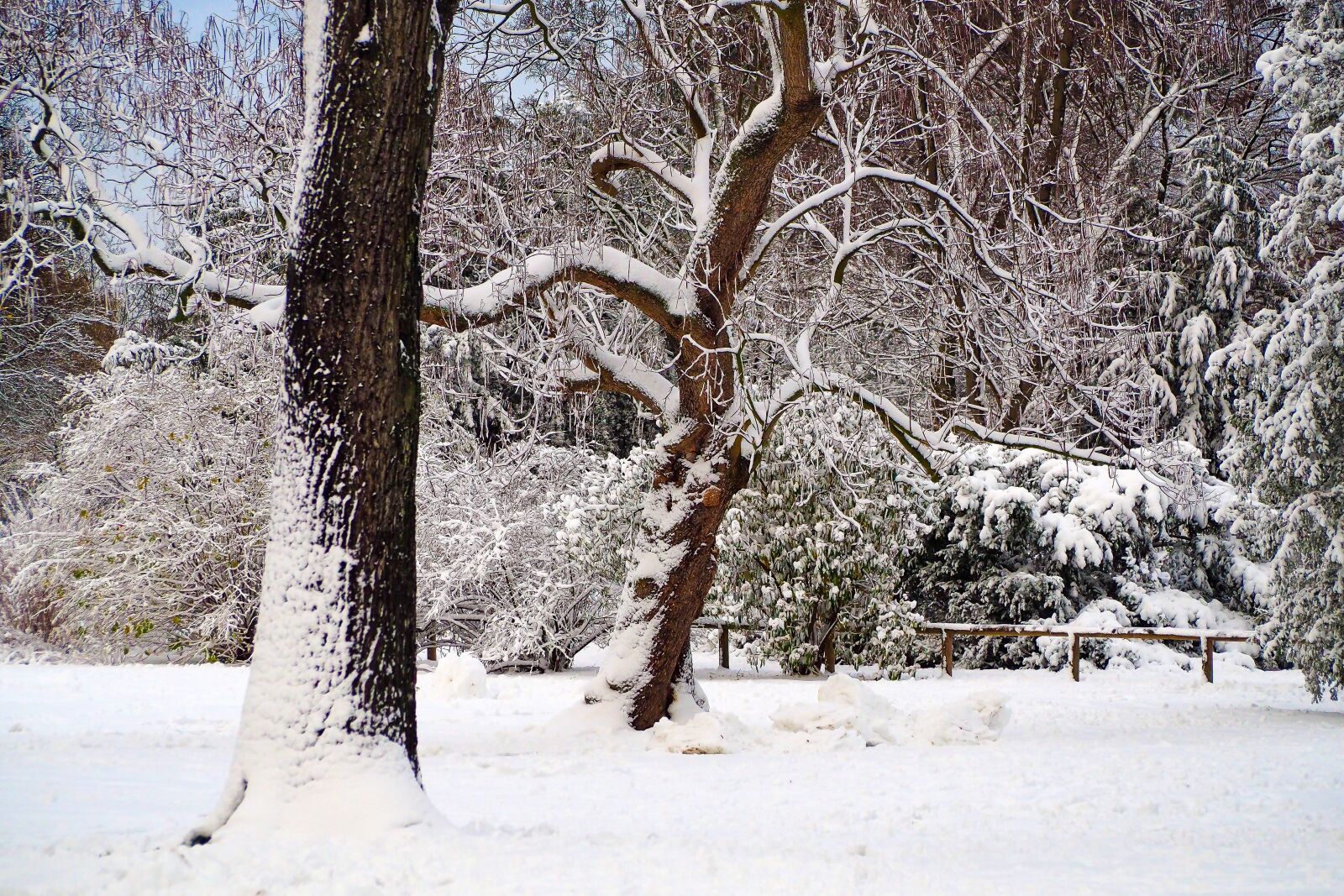 Olympus OM-D E-M10 sample photo. Winter, snow, wintry photography