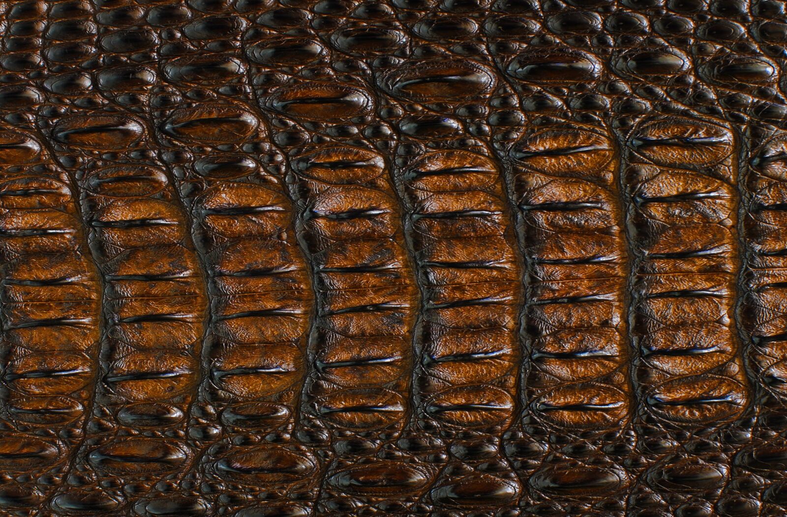 Nikon D700 sample photo. Texture, cook, brown photography