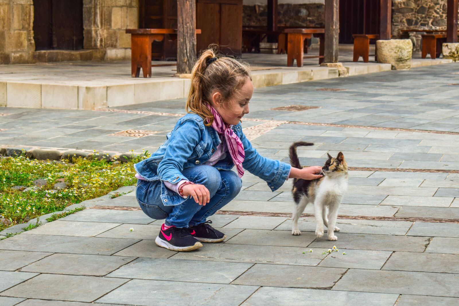 Nikon D3300 sample photo. Girl, cat, animal photography