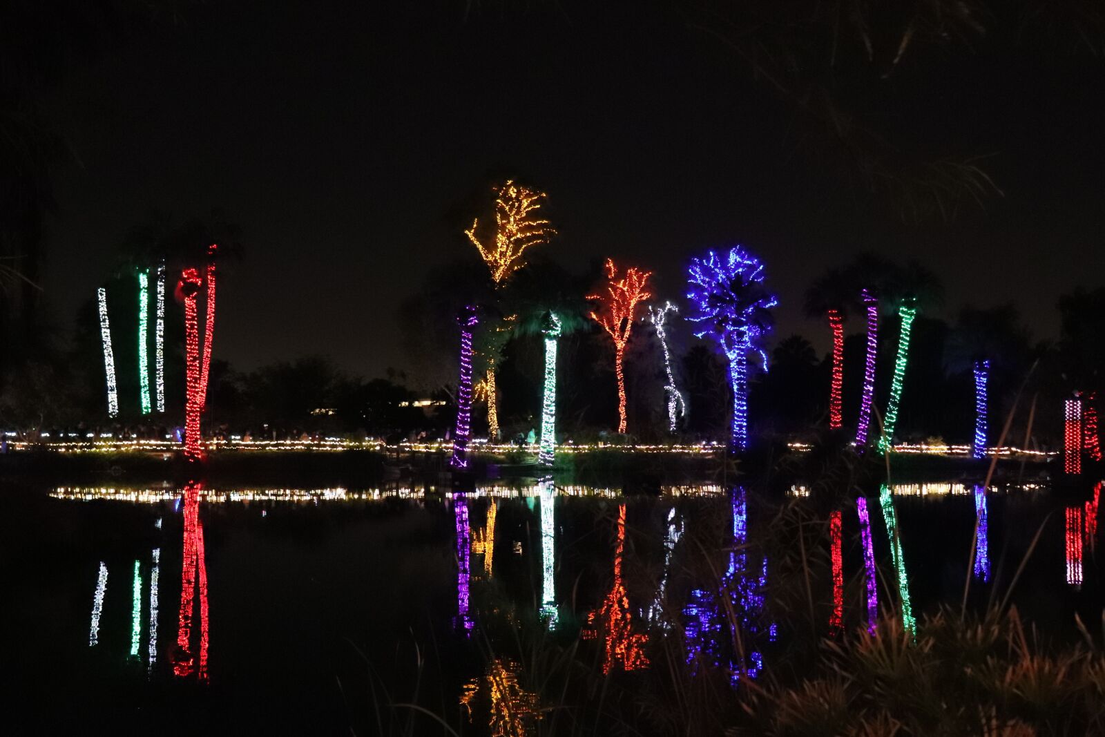 Canon EOS 200D (EOS Rebel SL2 / EOS Kiss X9) sample photo. Palm trees, lights, christmas photography