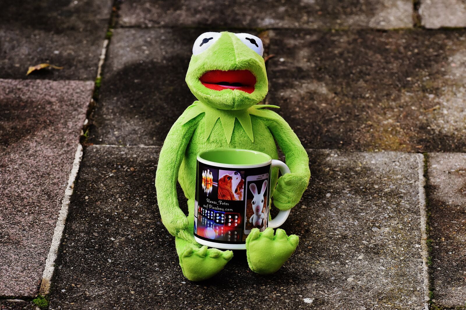 Nikon D7200 sample photo. Kermit, cup, drink coffee photography