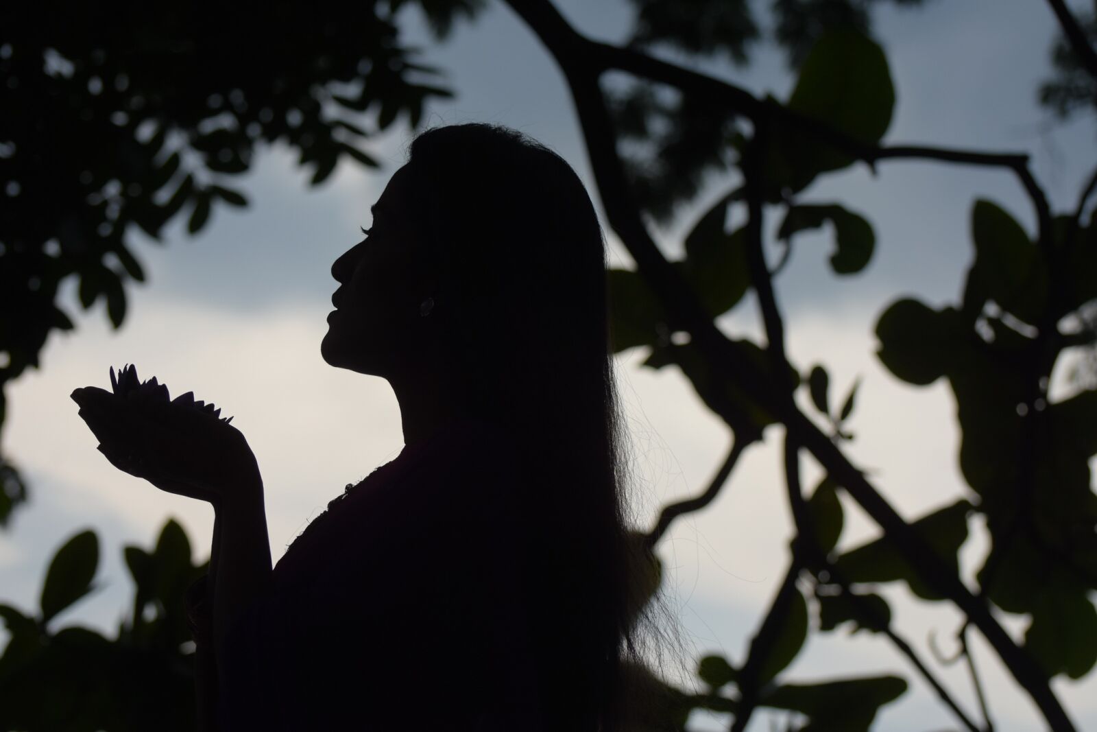 Nikon D7200 sample photo. Silhouette, woman, beauty photography