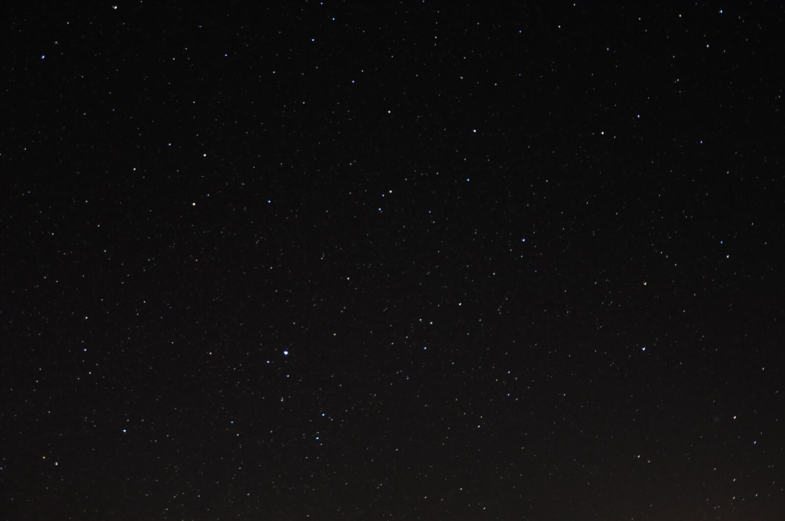 Nikon D90 sample photo