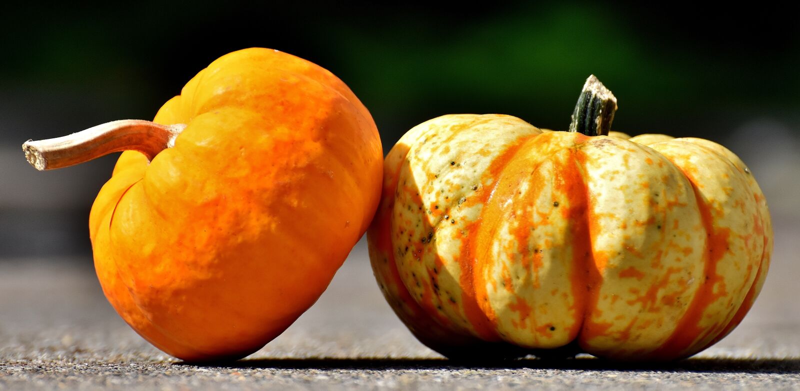 Nikon D7200 sample photo. Pumpkins, colorful, autumn photography
