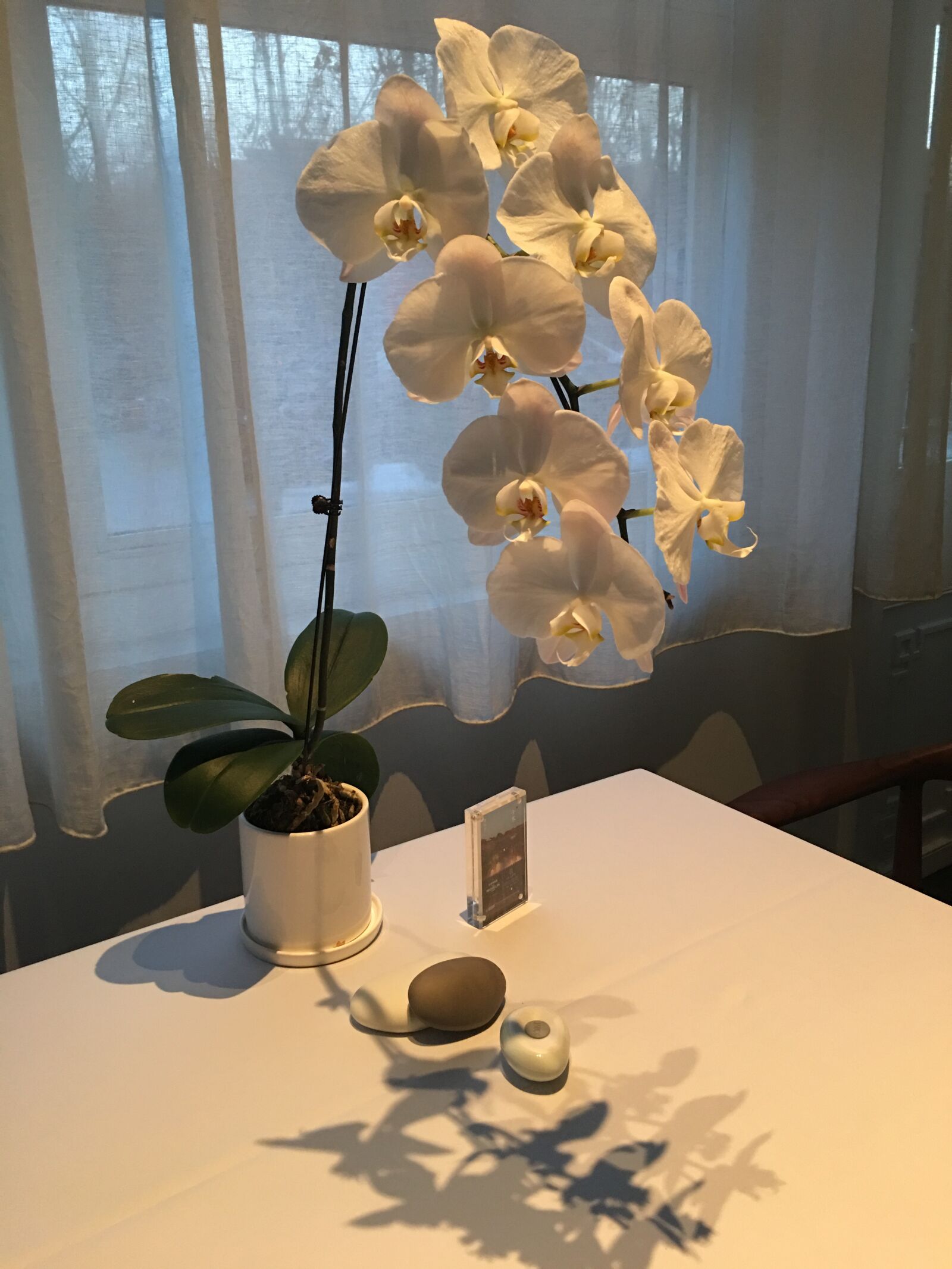 iPhone 6s Plus back camera 4.15mm f/2.2 sample photo. Linglan, restaurant, decoration photography