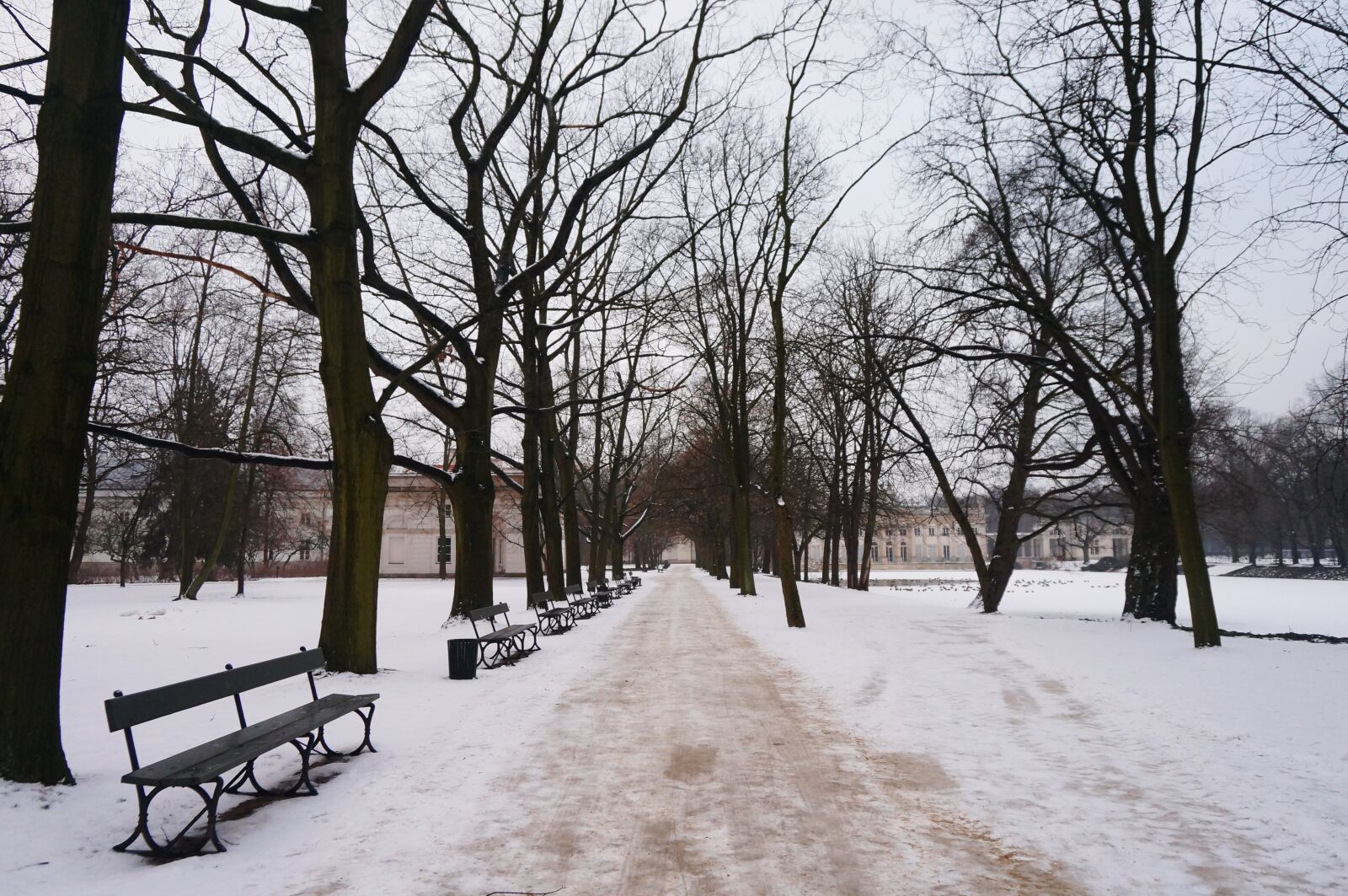 Sony Alpha NEX-3N sample photo. Poland, winter, warsaw photography