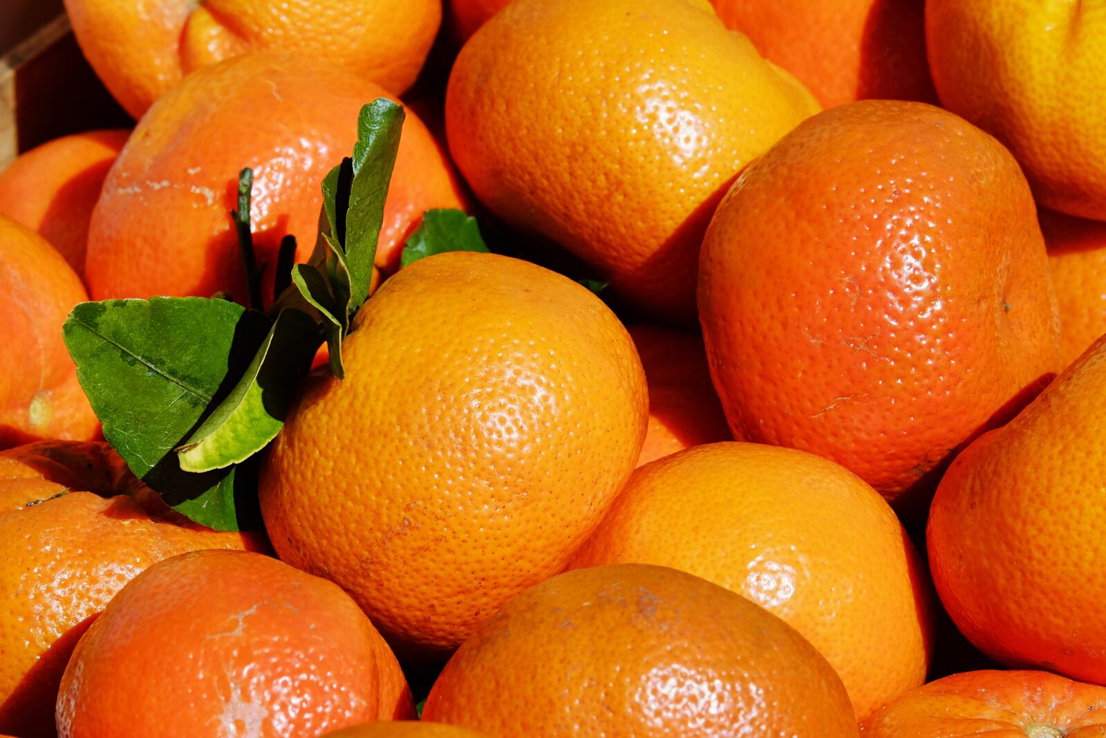 Fujifilm XF 55-200mm F3.5-4.8 R LM OIS sample photo. Tangerines, clementines, citrus fruits photography