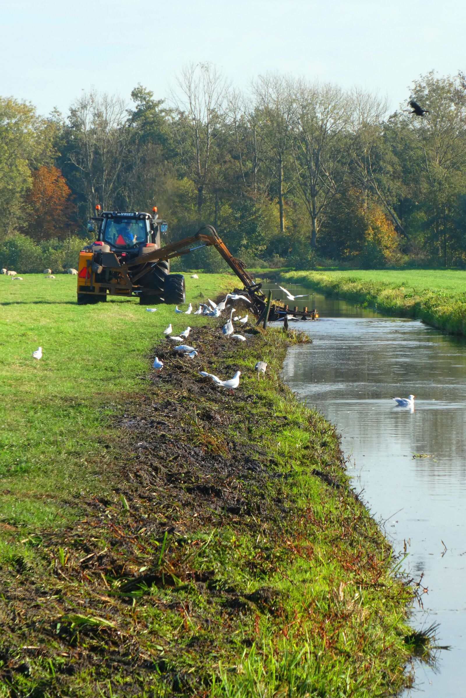 Panasonic Lumix DC-ZS70 (Lumix DC-TZ90) sample photo. Ditch, dredging, tractor photography