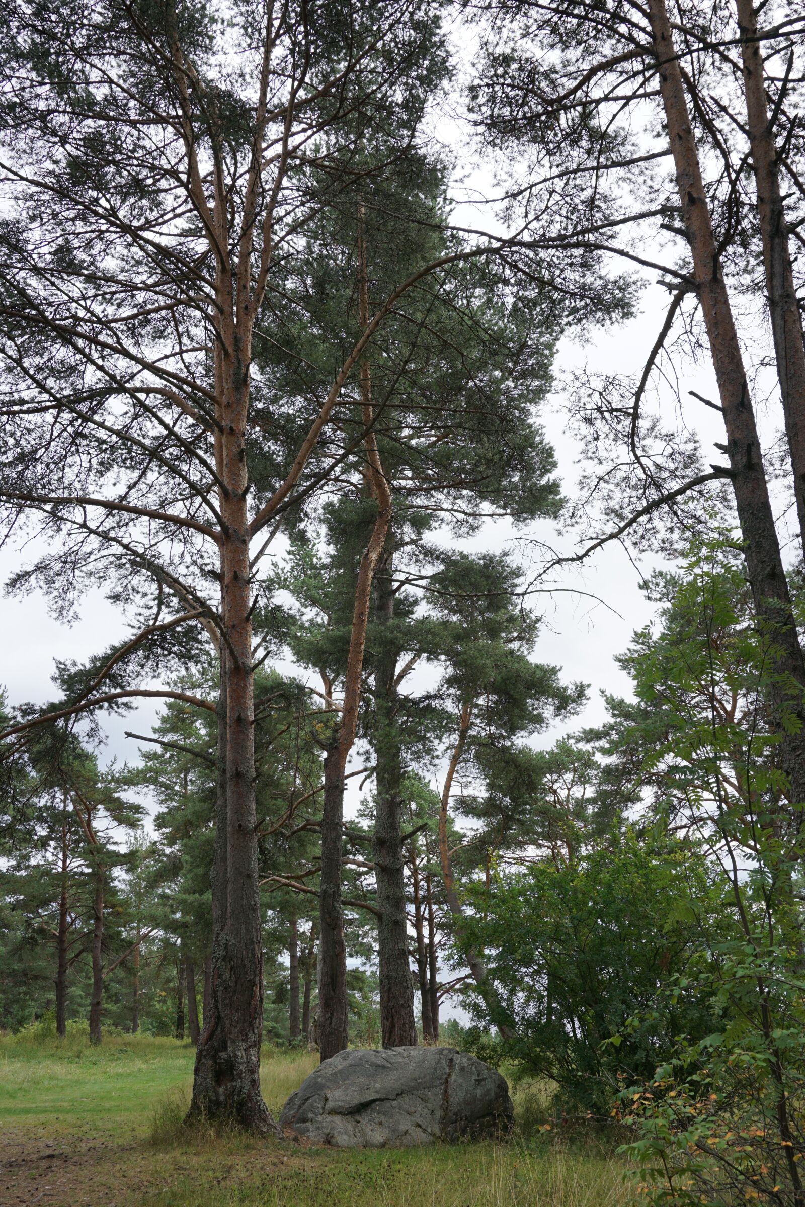 Sony a6000 sample photo. Petrozavodsk, karelia, place of photography