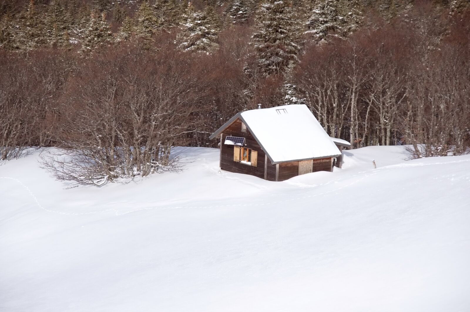 Nikon D90 sample photo. Color, winter, snow photography