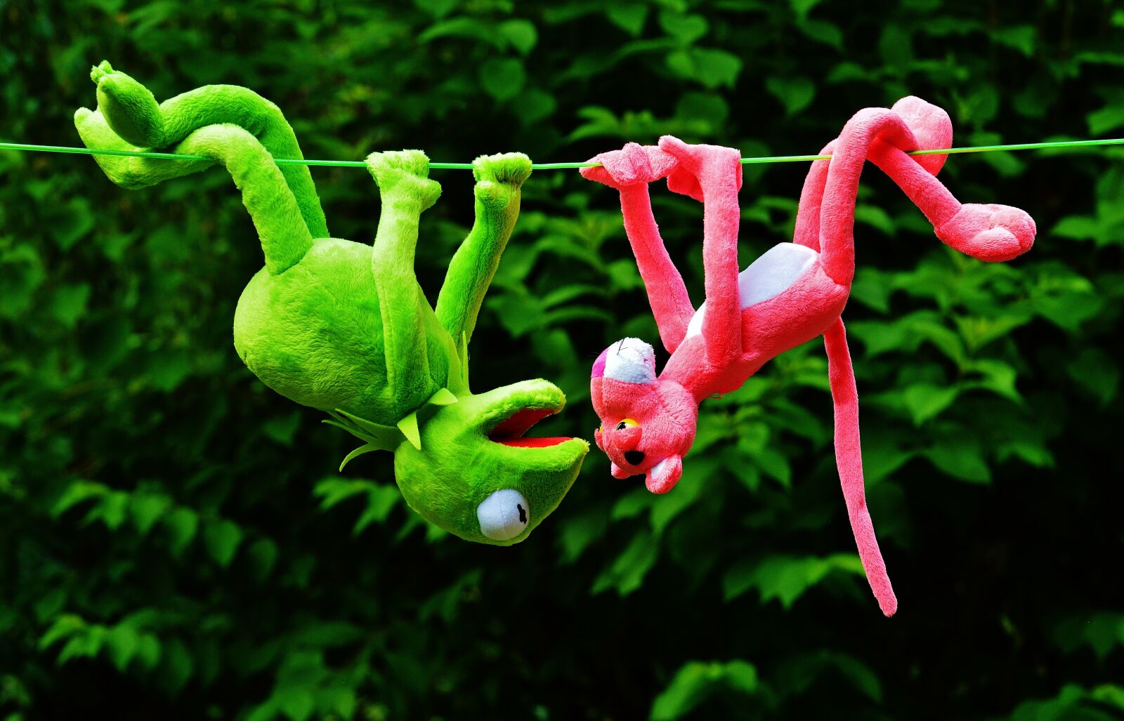 Nikon D3200 sample photo. Hang out, plush toys photography