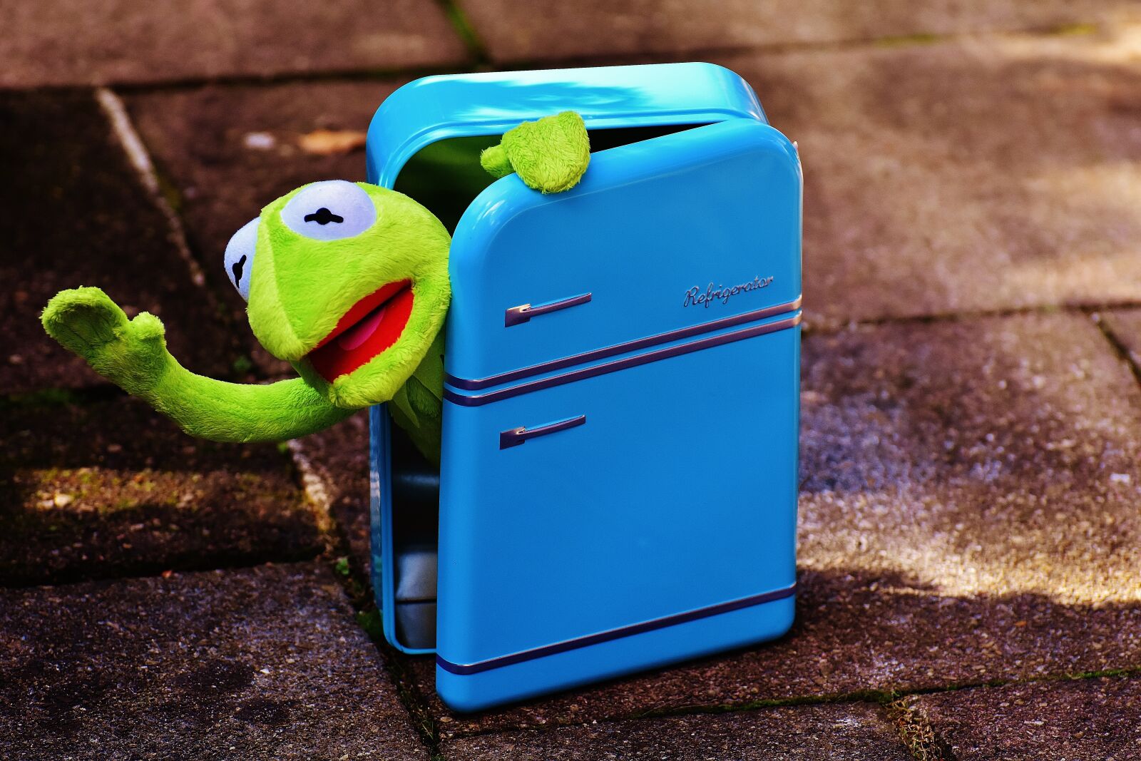 Nikon D7200 sample photo. Kermit, frog, refrigerator photography