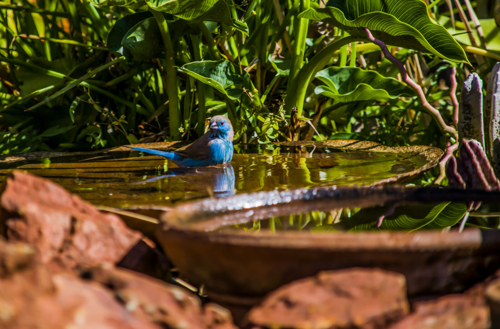 Nikon D3300 sample photo. Nature, water, birds photography