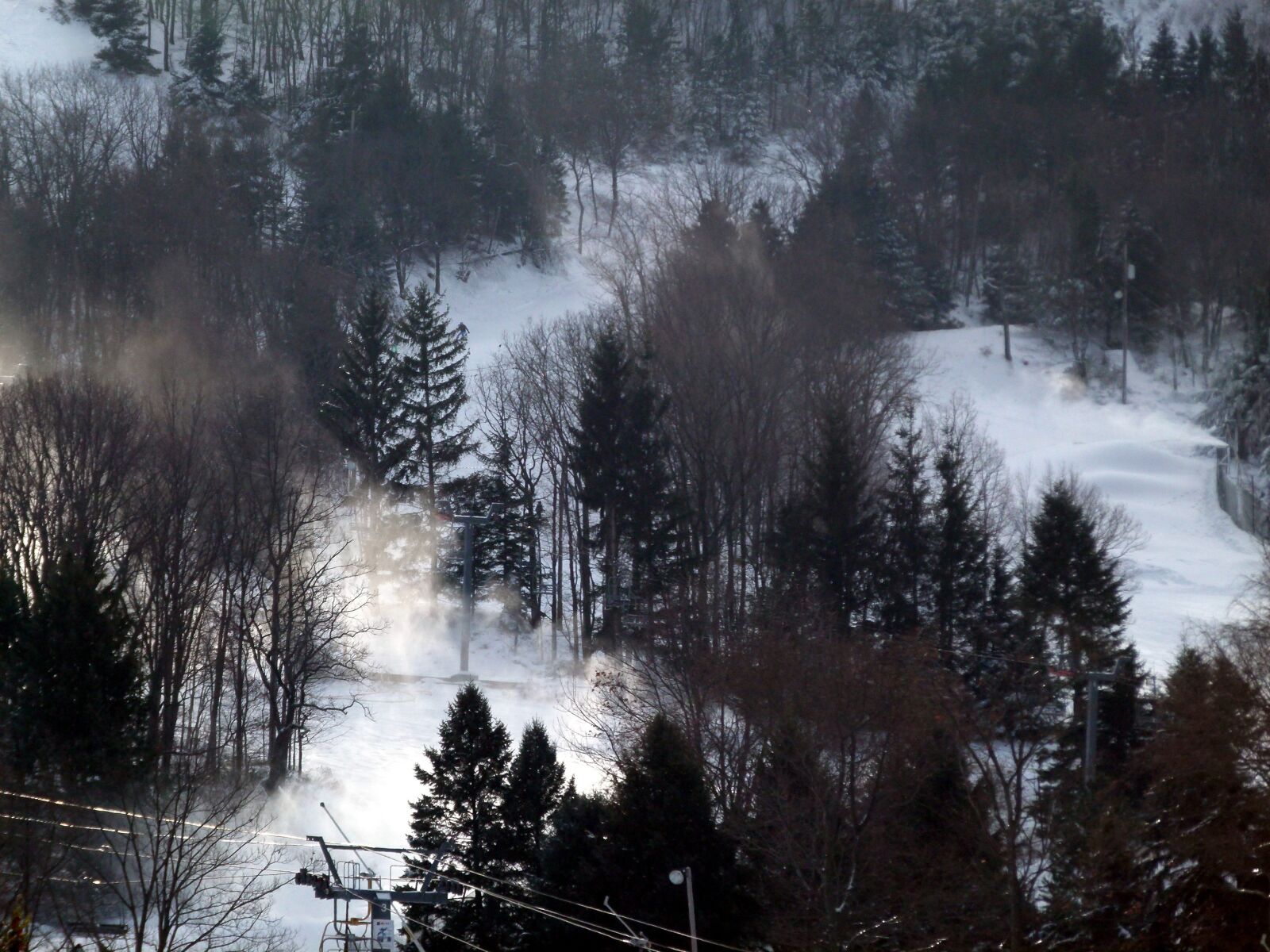 Panasonic Lumix DMC-FZ100 sample photo. Ski slope, snow, trees photography