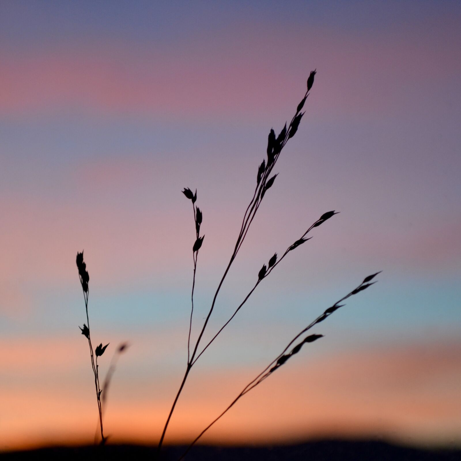Nikon D3100 sample photo. Sky, sunset, grain photography