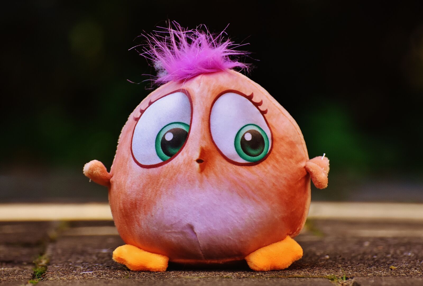 Nikon D7200 sample photo. Bird, birdie, plush photography