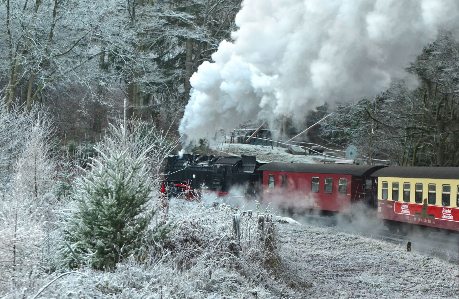 Nikon D5100 sample photo. Steam locomotive, schmalspurbahn harzer photography