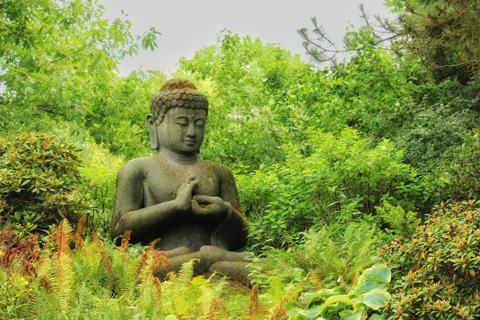 Canon EOS 1300D (EOS Rebel T6 / EOS Kiss X80) sample photo. Meditation, meditate, relaxation photography