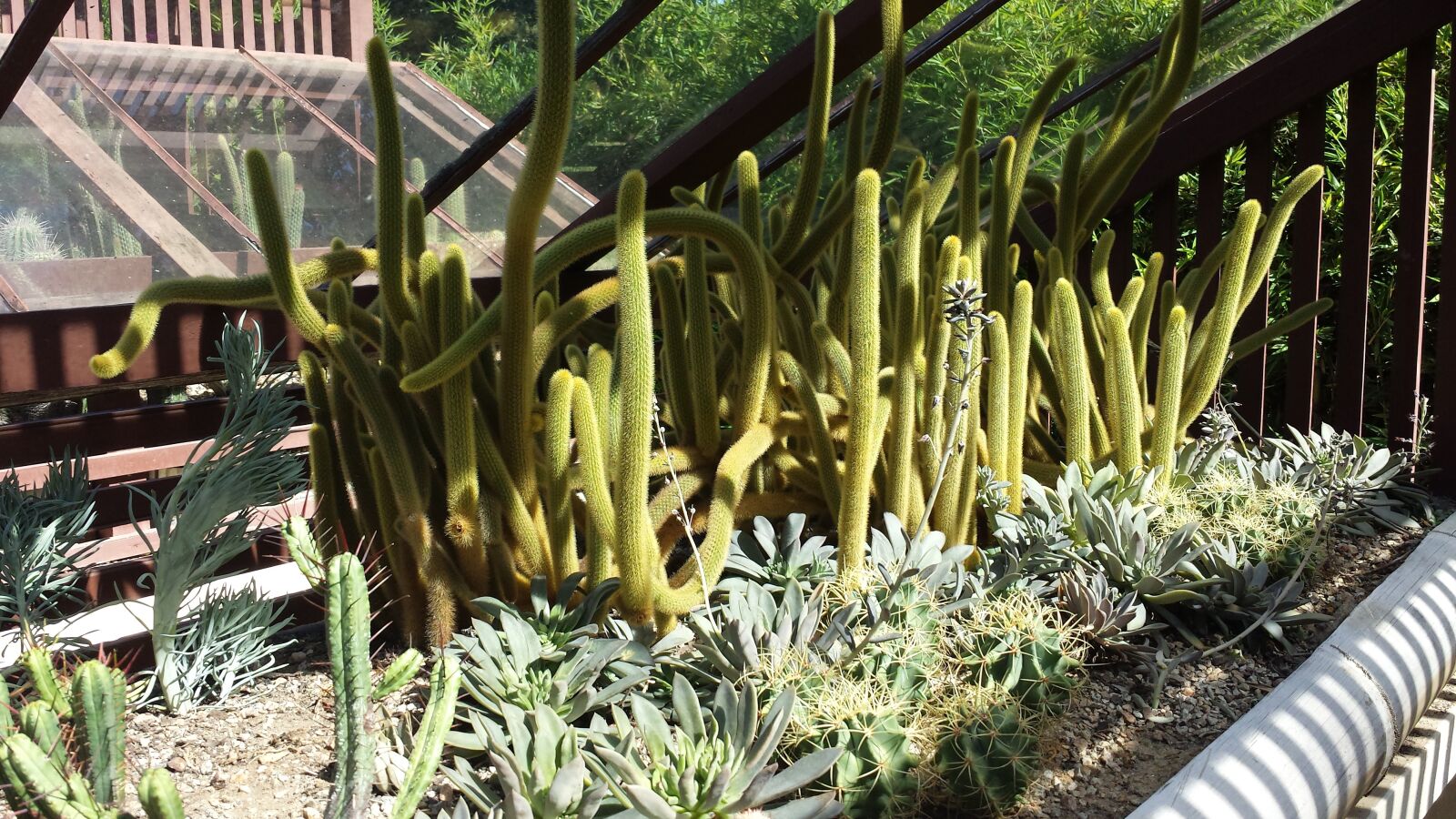 Samsung Galaxy S4 sample photo. Botanical garden, rio de photography