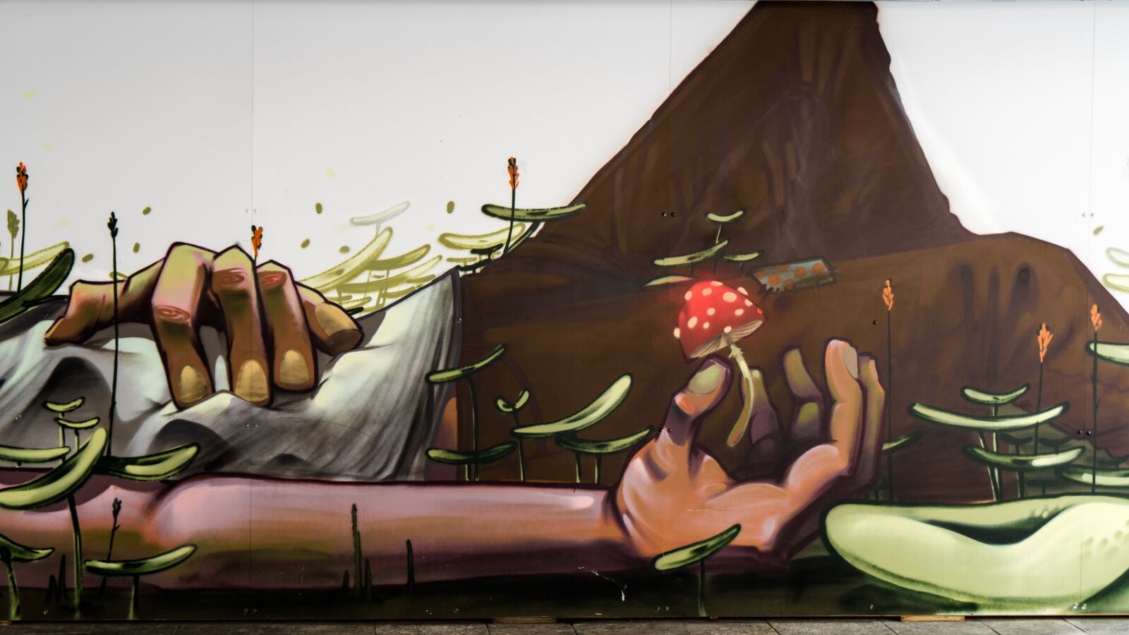 Sony a6500 + Sony Vario-Tessar T* E 16-70mm F4 ZA OSS sample photo. Graffiti, human, decoration photography