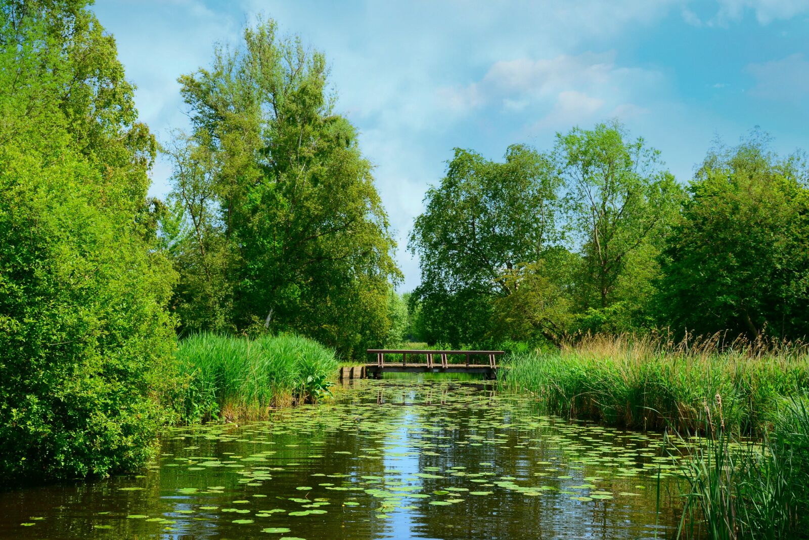 Nikon D7100 sample photo. Waterway, bridge, vegetation photography