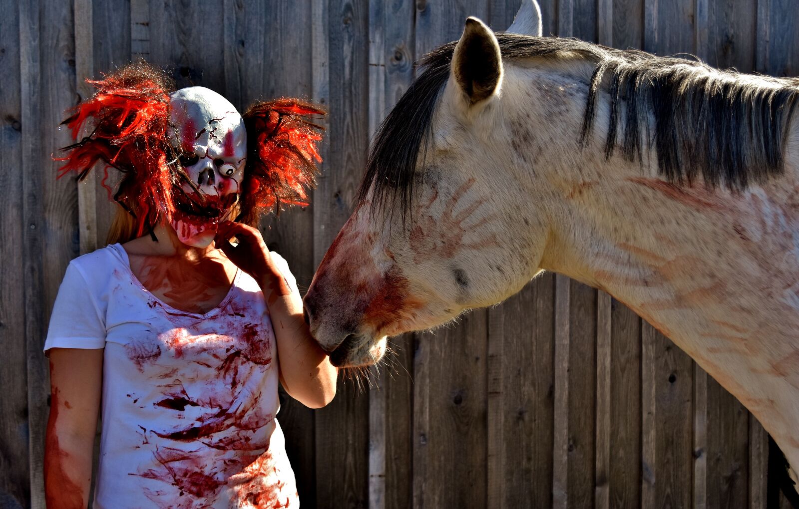 Nikon D7200 sample photo. Halloween, bloody, horror clown photography