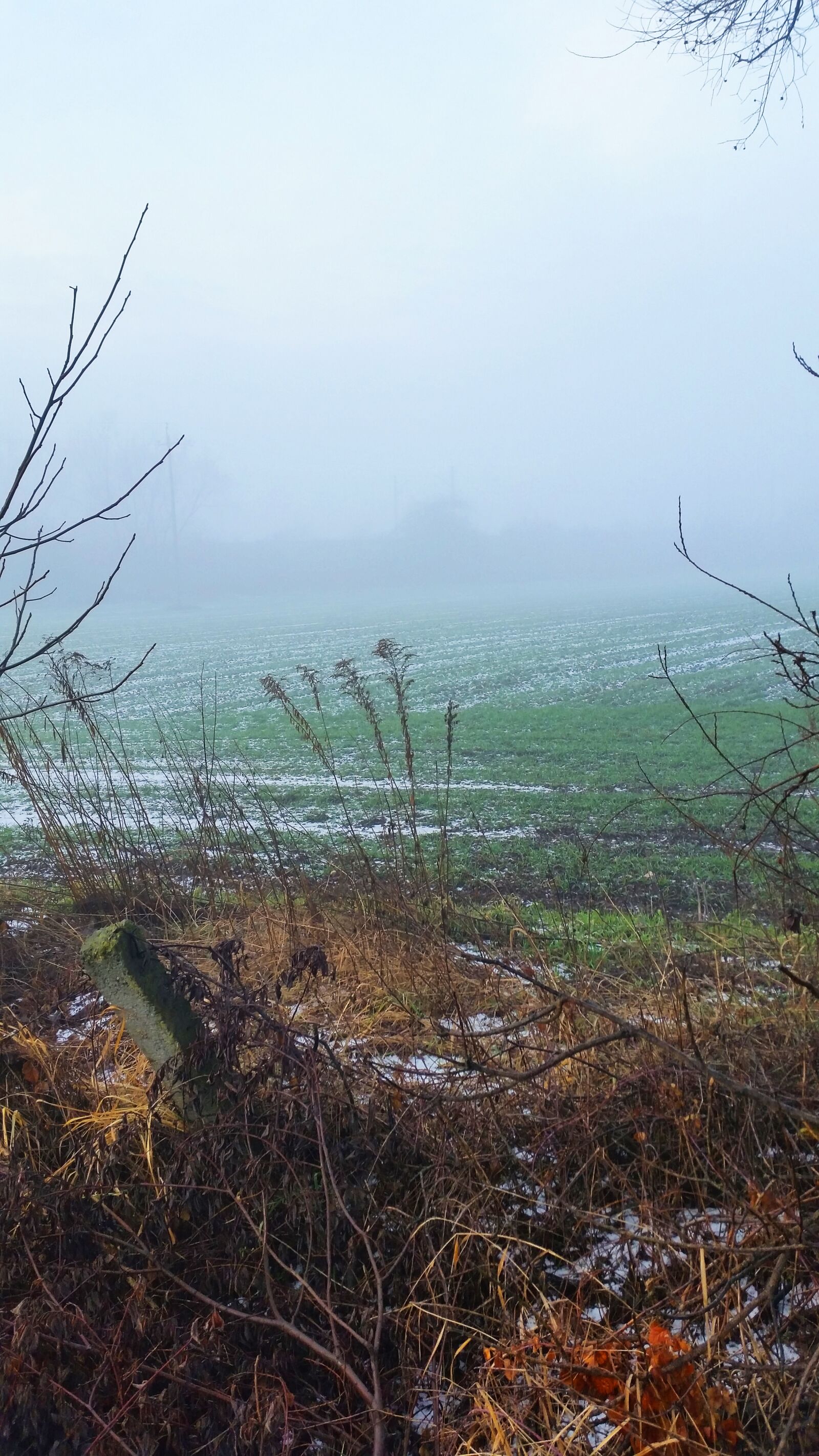 Samsung Galaxy S5 sample photo. Autumn, field, meadow photography