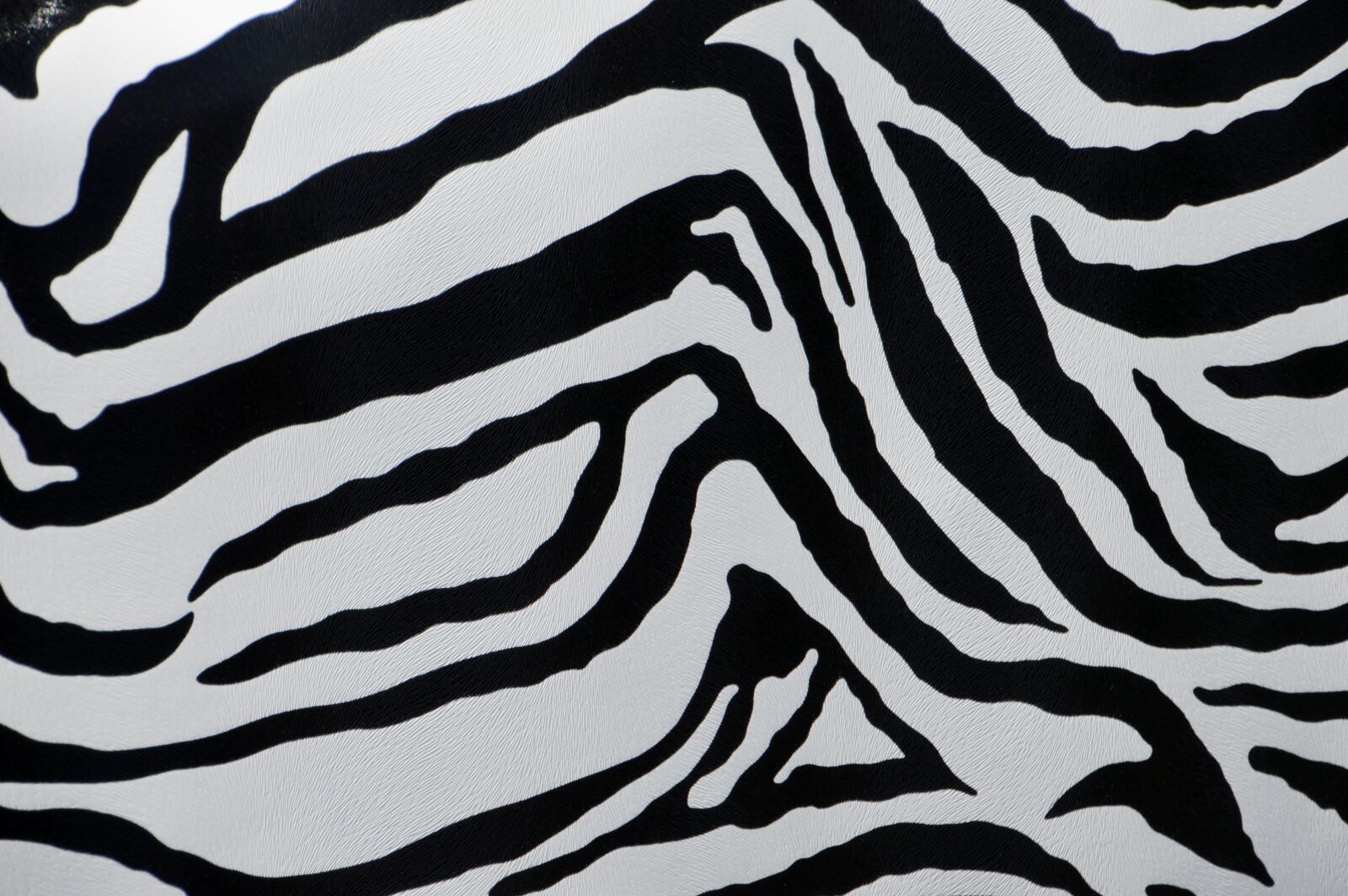 Nikon D3200 sample photo. Zebra, camouflage, model photography