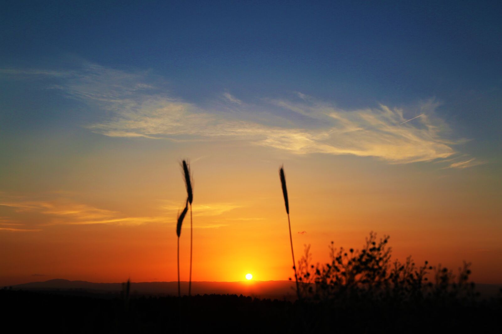 Canon EOS 5D Mark III sample photo. Sunset, in the evening photography