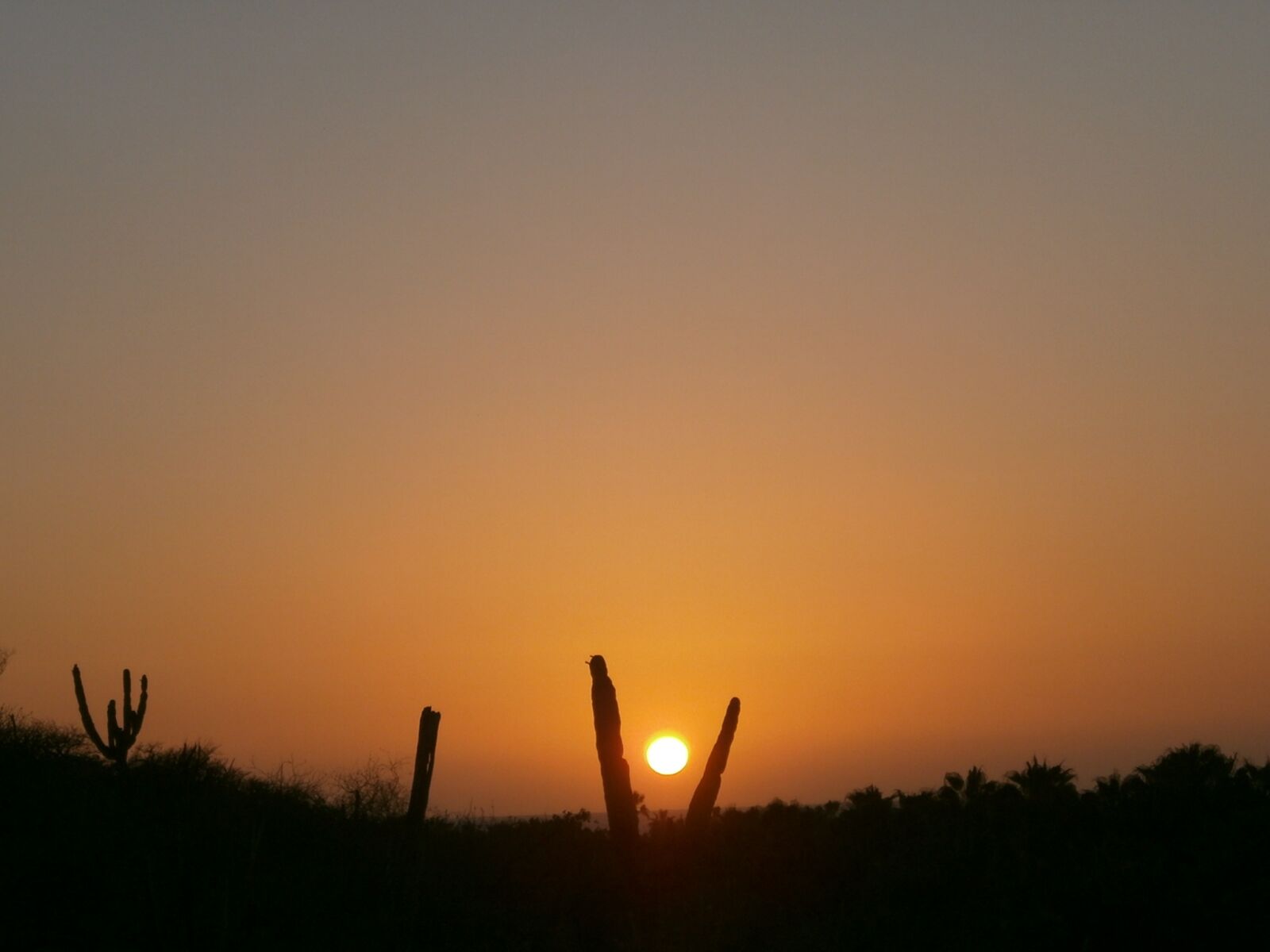 Olympus VG110,D700 sample photo. Sun, sunset, evening sun photography