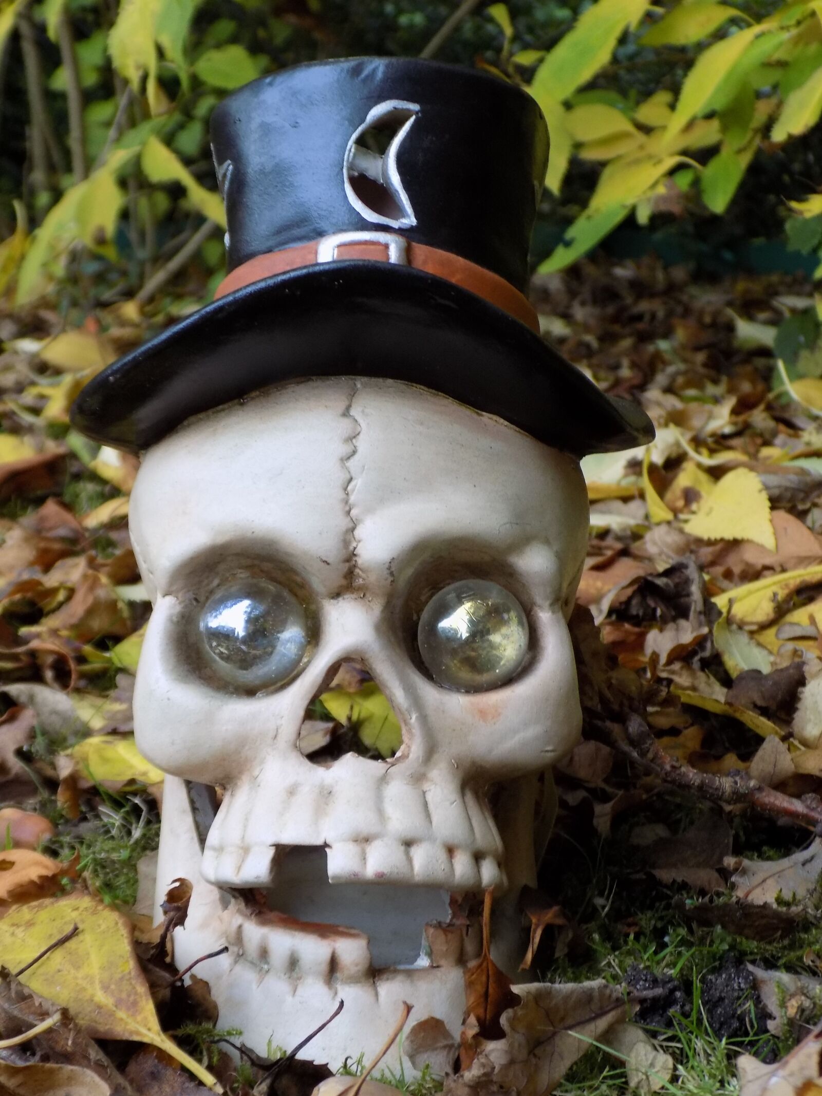Nikon COOLPIX L340 sample photo. Skull and crossbones, halloween photography