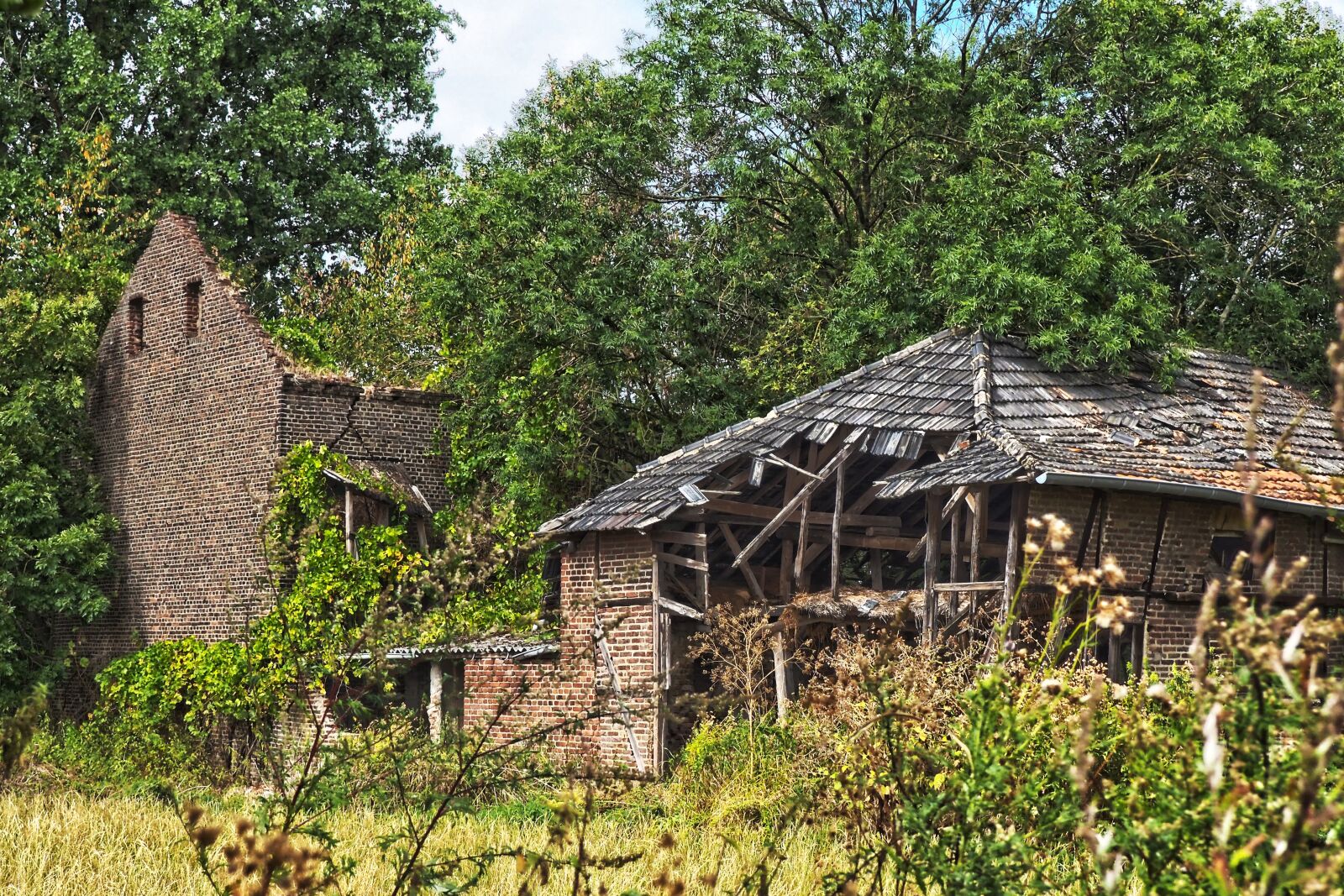 Olympus OM-D E-M10 sample photo. Lost places, hof, abandoned photography