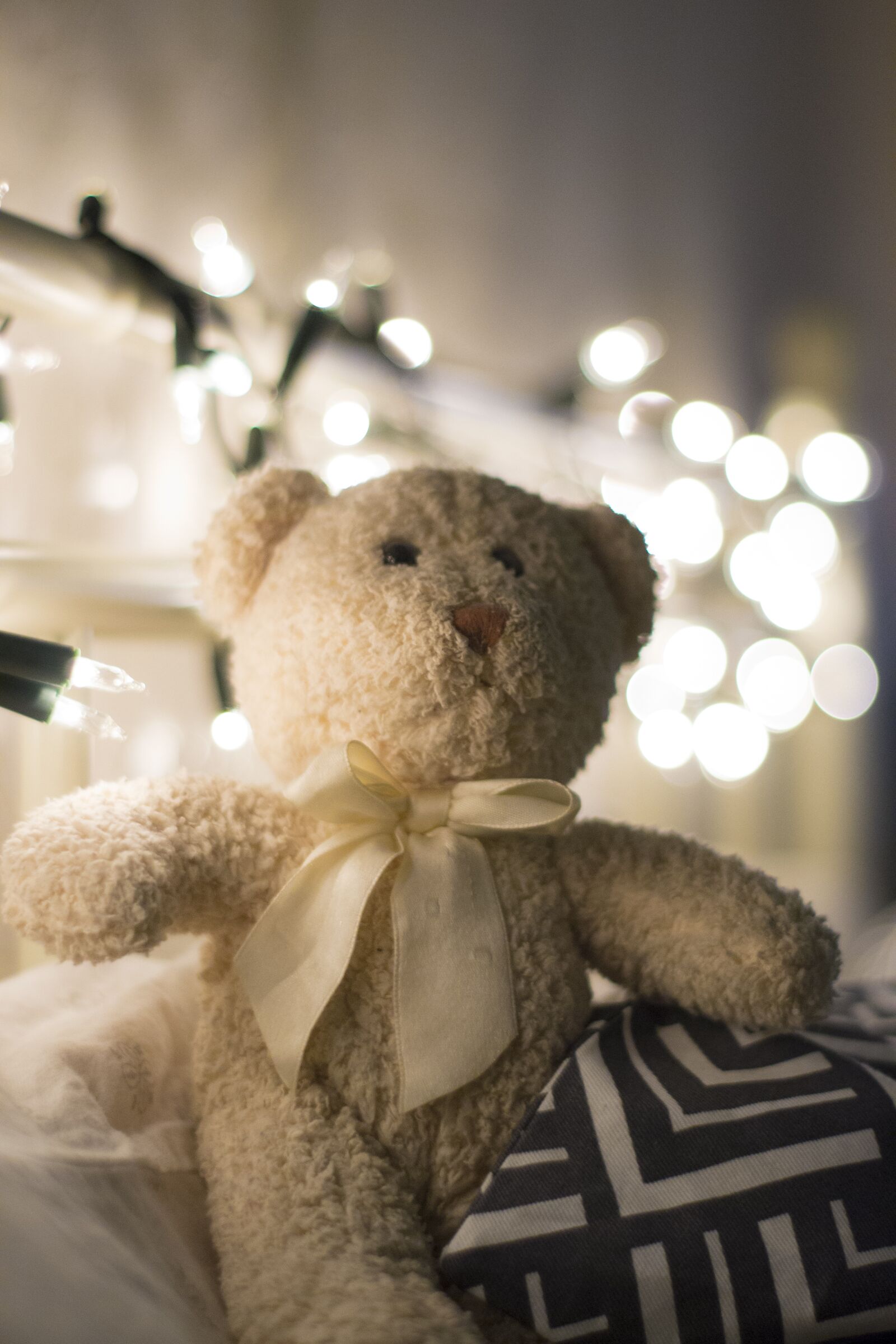 Nikon D3100 sample photo. Toy, teddy bear, plush photography