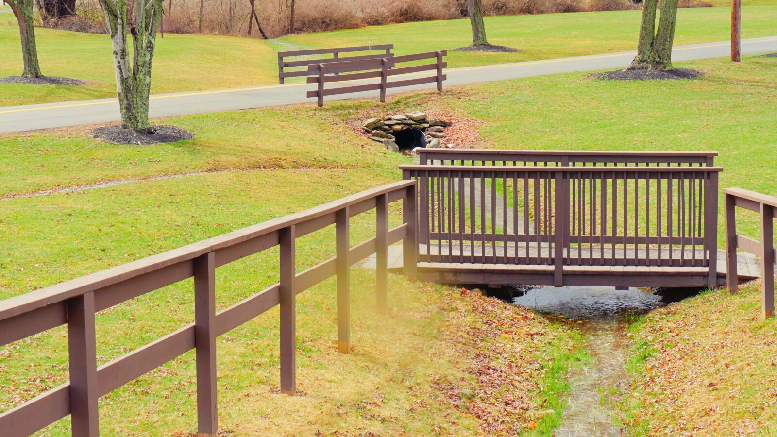 Panasonic Lumix DMC-GH4 sample photo. Creek, woodbridge, grassland photography