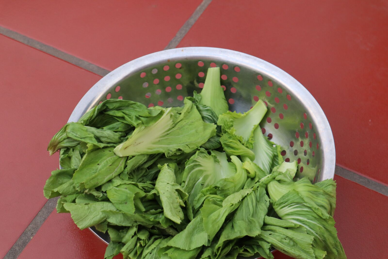 Canon EOS M50 (EOS Kiss M) sample photo. Tiles, vegetables, green photography