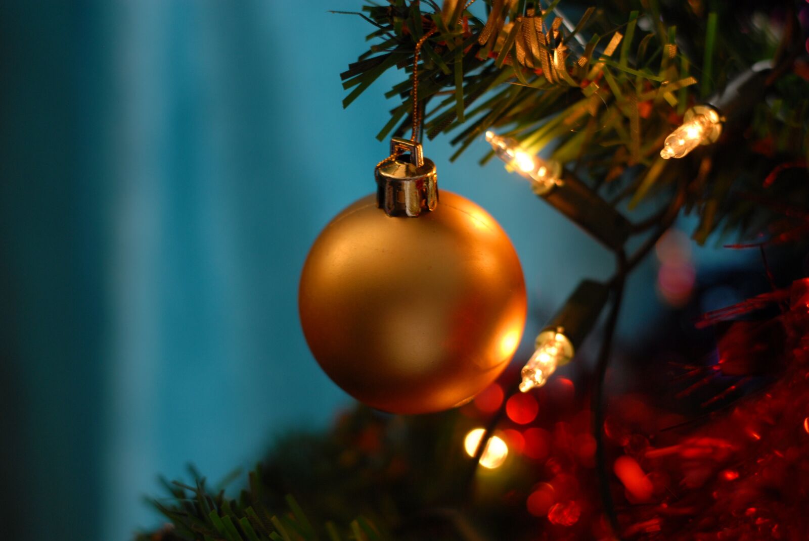 Nikon D200 sample photo. Christmas, xmas, holiday photography