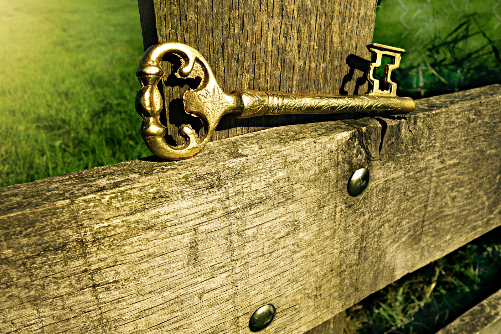 Sony Cyber-shot DSC-RX100 sample photo. Antique, entrance, gate, key photography