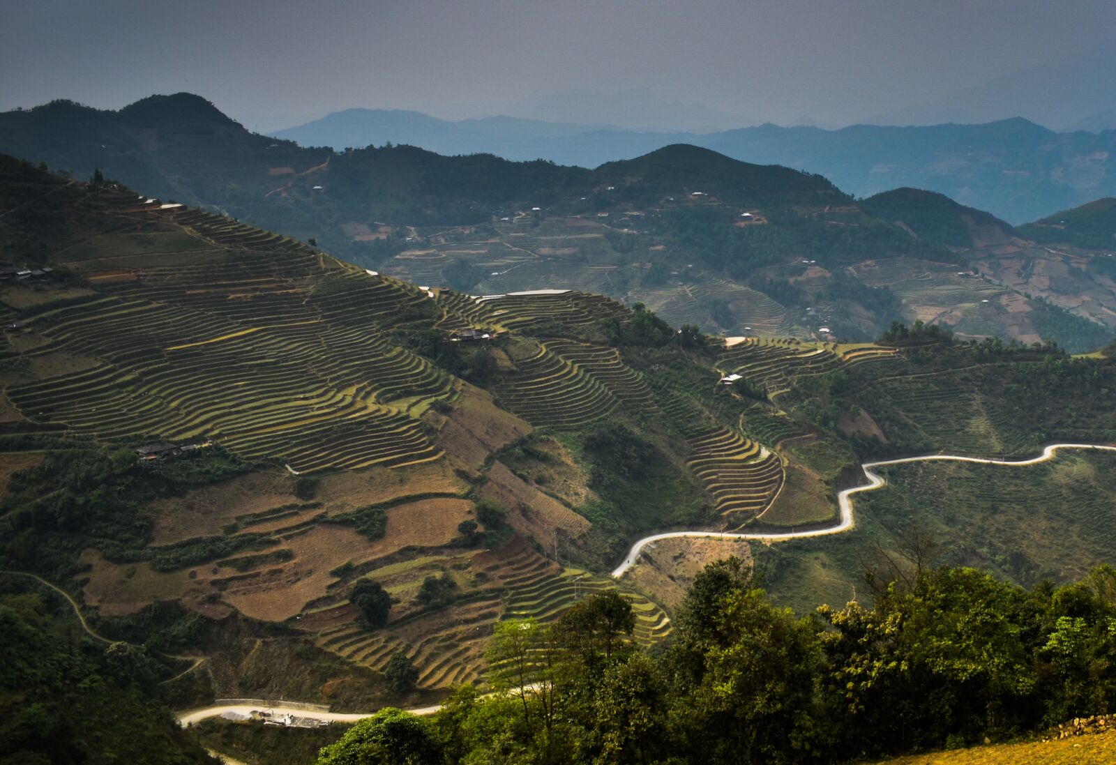 Nikon D5600 sample photo. Vietnam, northern circuit, rice photography