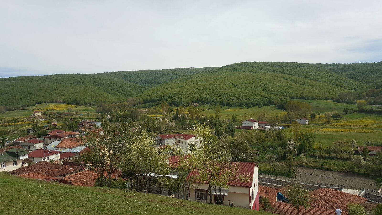 Samsung Galaxy Note5 sample photo. View, town, put photography