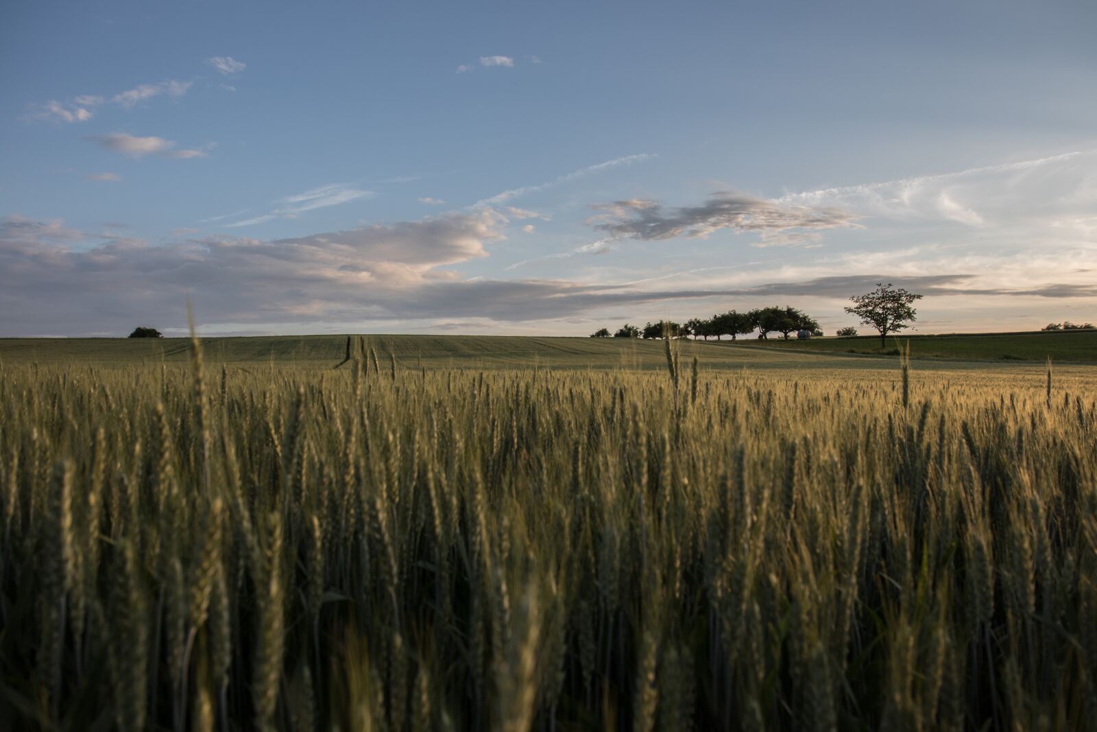 Canon EOS 7D Mark II sample photo. Landscape, summer, nature photography