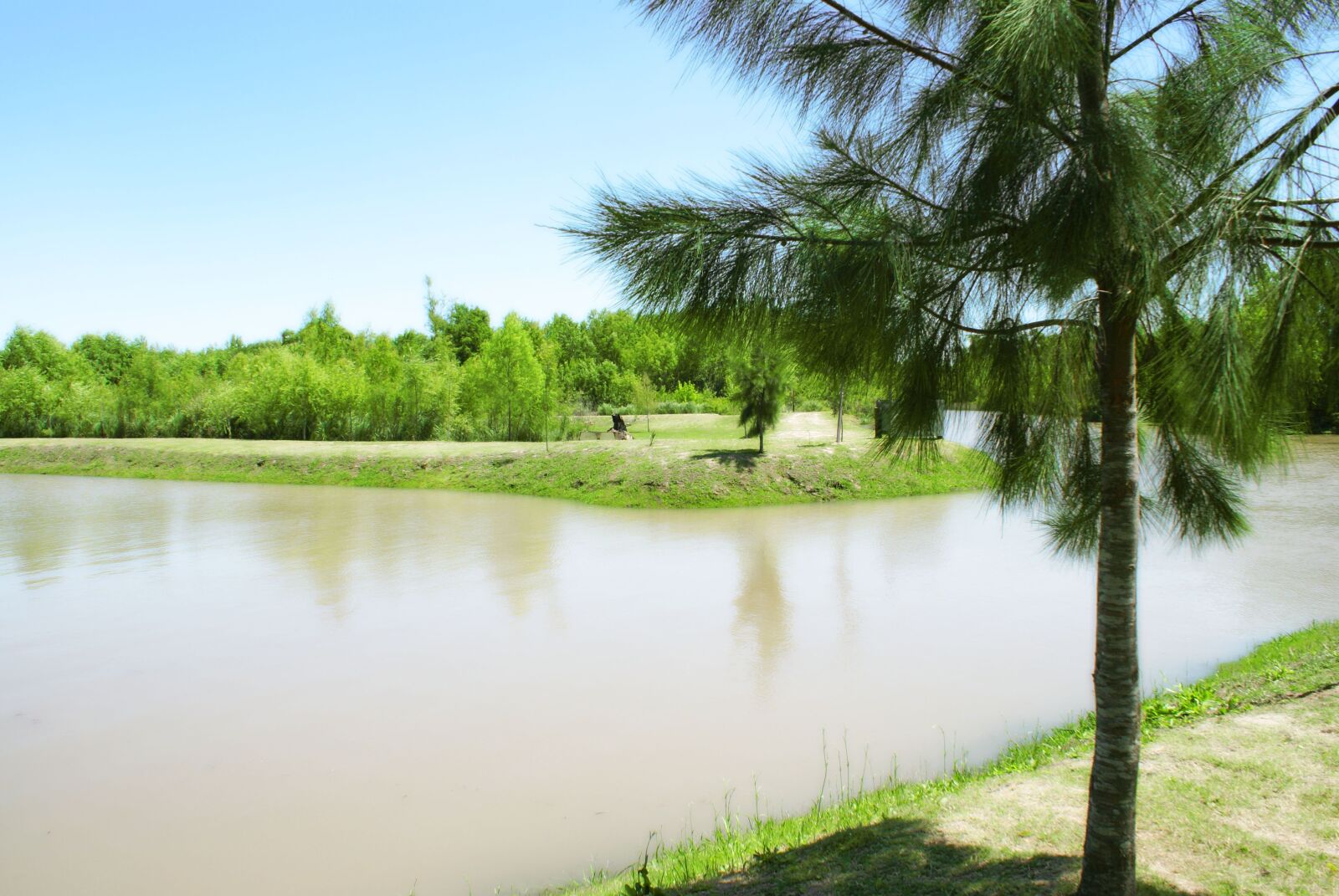 Sony Alpha DSLR-A100 sample photo. Pine, water, plant photography