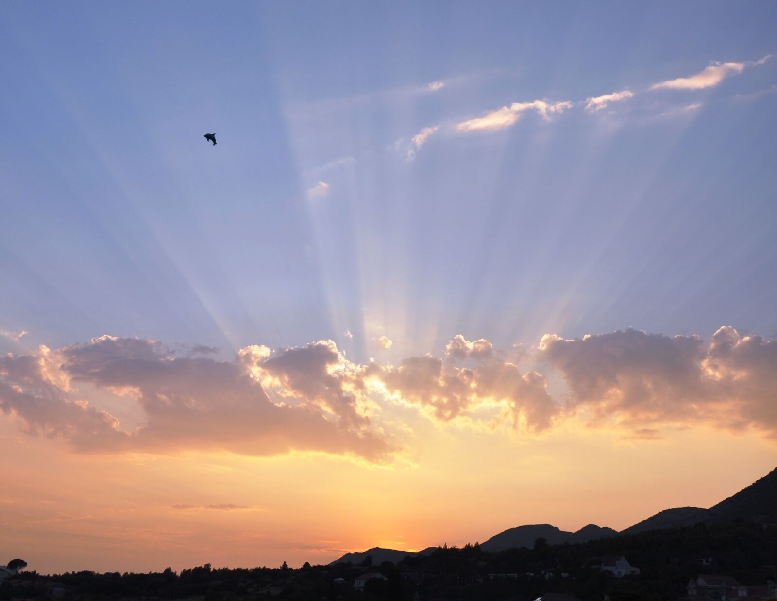 Nikon D90 sample photo. Sunset, unusual, dolphin photography