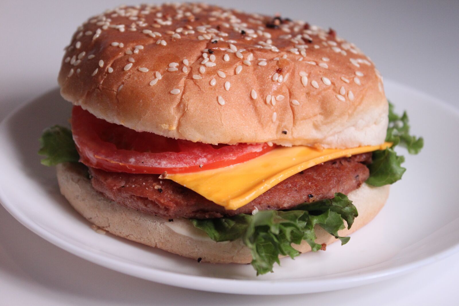 Canon EOS 500D (EOS Rebel T1i / EOS Kiss X3) sample photo. Food, burger, fast food photography